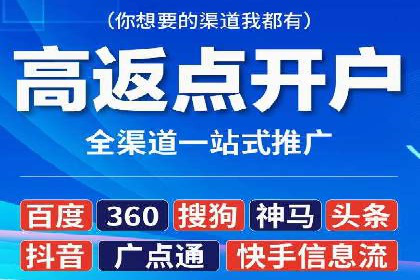 网络推广中的竞价广告：成功案例解析